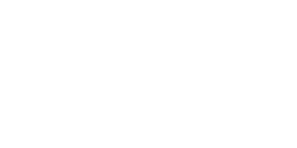 Logo SV2 Noir & Blanc